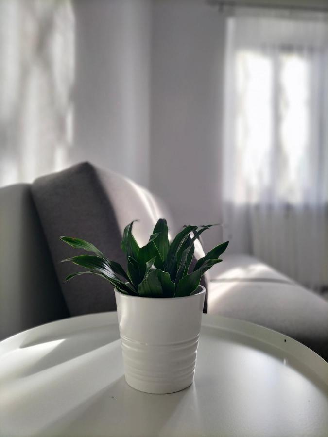 Casa Mina Apartment Omegna Bagian luar foto